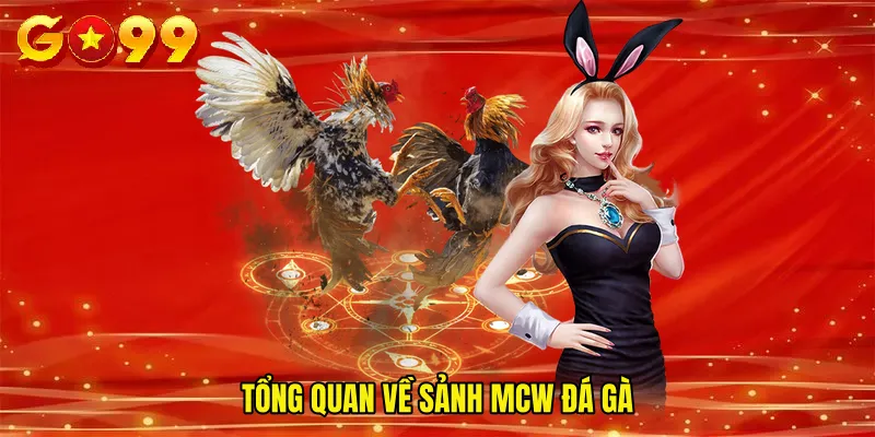 Tổng quan về sảnh Mcw đá gà